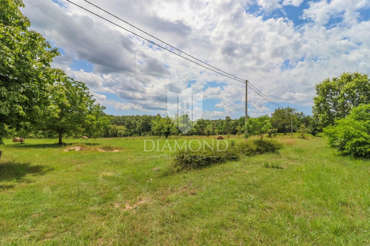 Terreno perfetto in una zona tranquilla di Gimino
