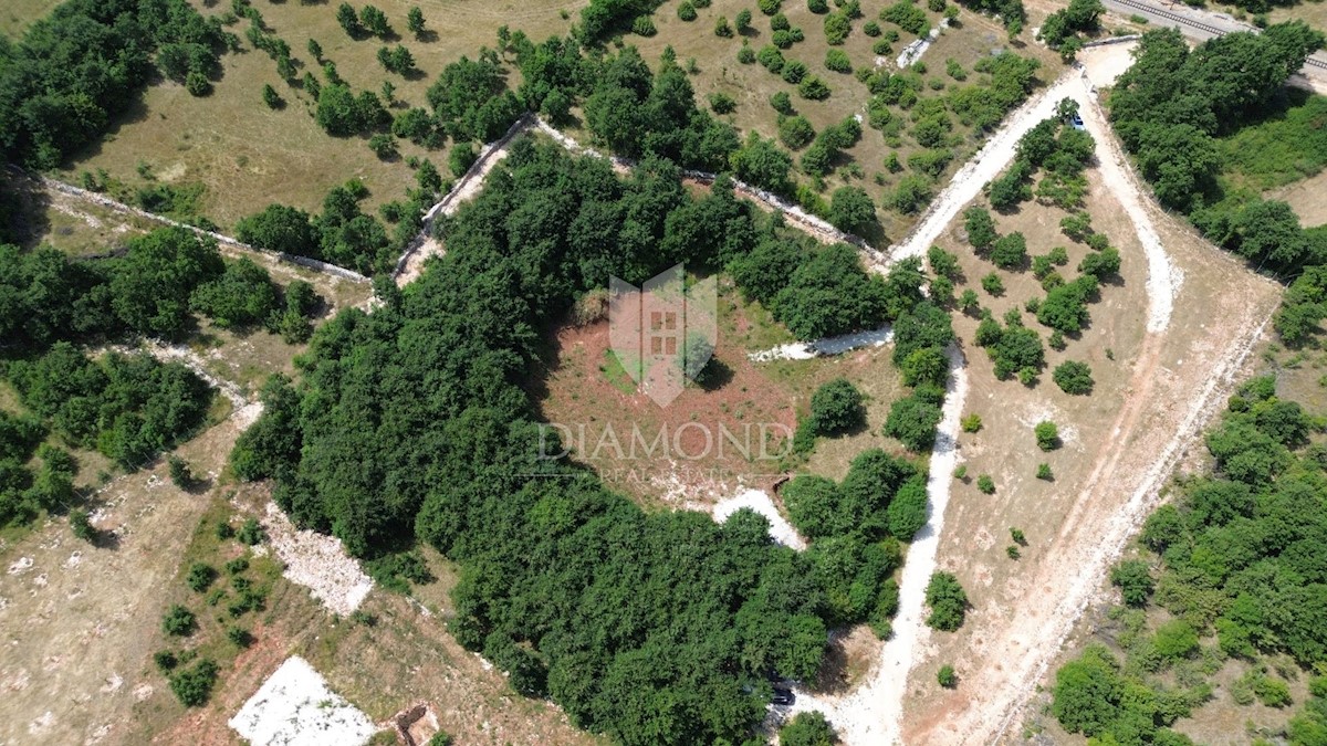 Ampio terreno con progetto nell'Istria centrale