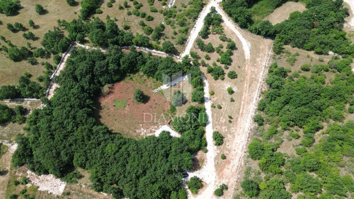 Ampio terreno con progetto nell'Istria centrale