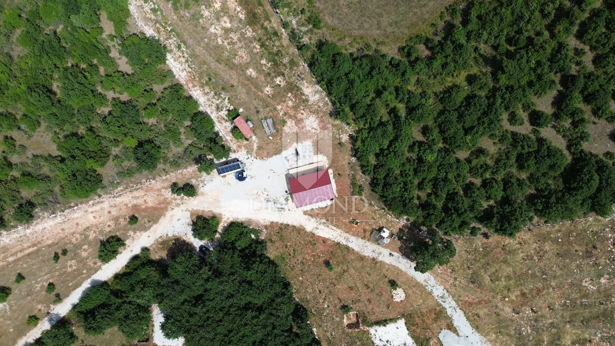 Ampio terreno con progetto nell'Istria centrale