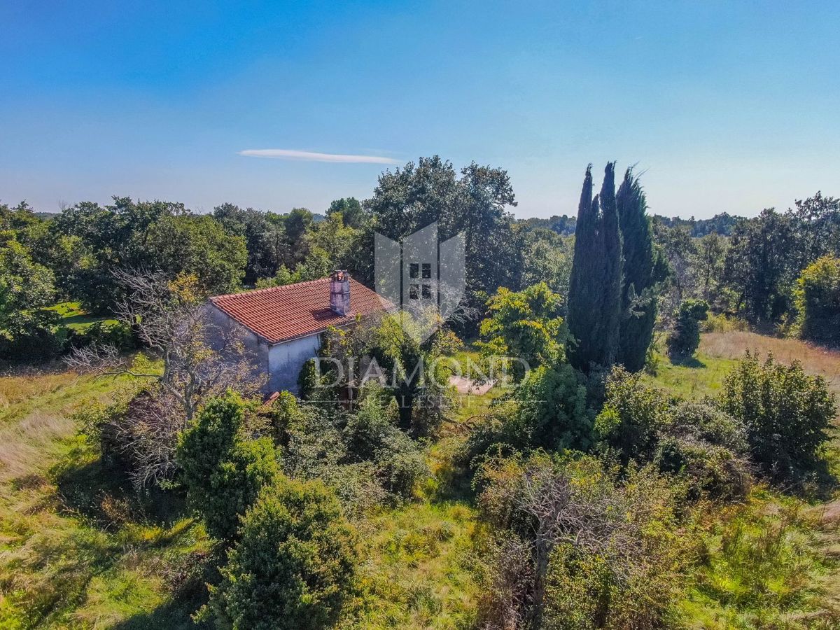 Gimino, dintorni, casa su un ampio terreno in una zona appartata