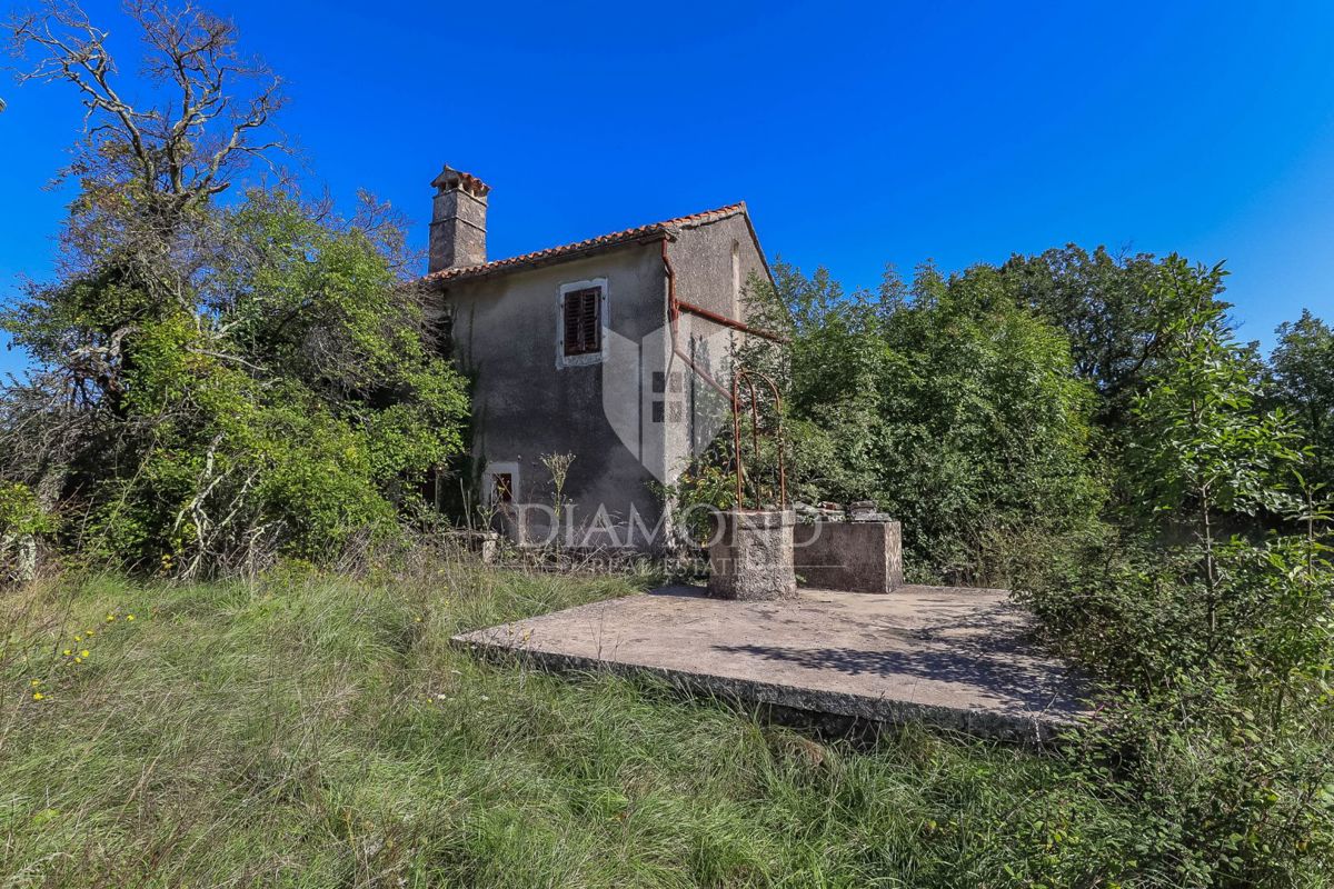 Gimino, dintorni, casa su un ampio terreno in una zona appartata