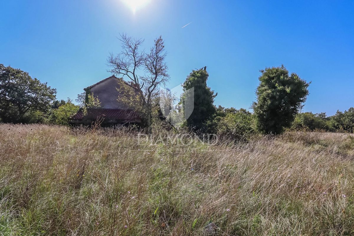 Gimino, dintorni, casa su un ampio terreno in una zona appartata