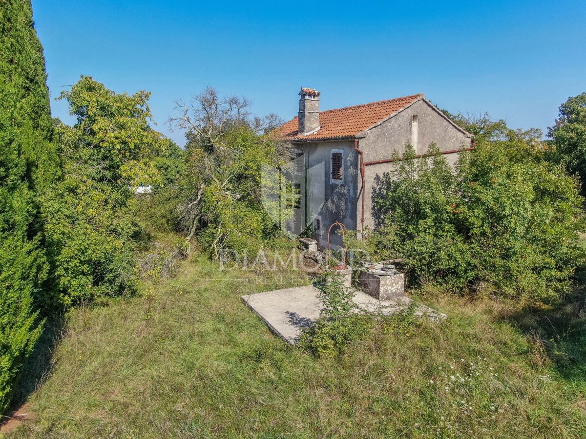 Gimino, dintorni, casa su un ampio terreno in una zona appartata