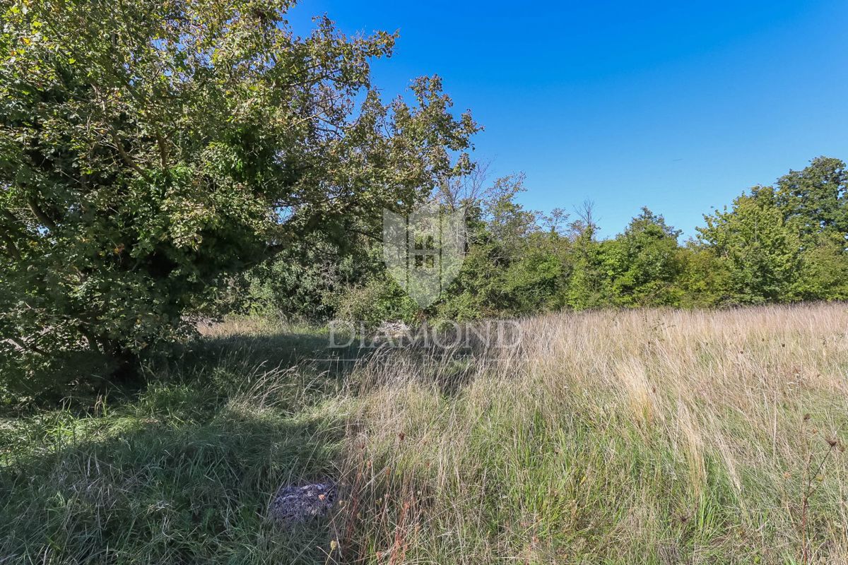 Gimino, dintorni, casa su un ampio terreno in una zona appartata