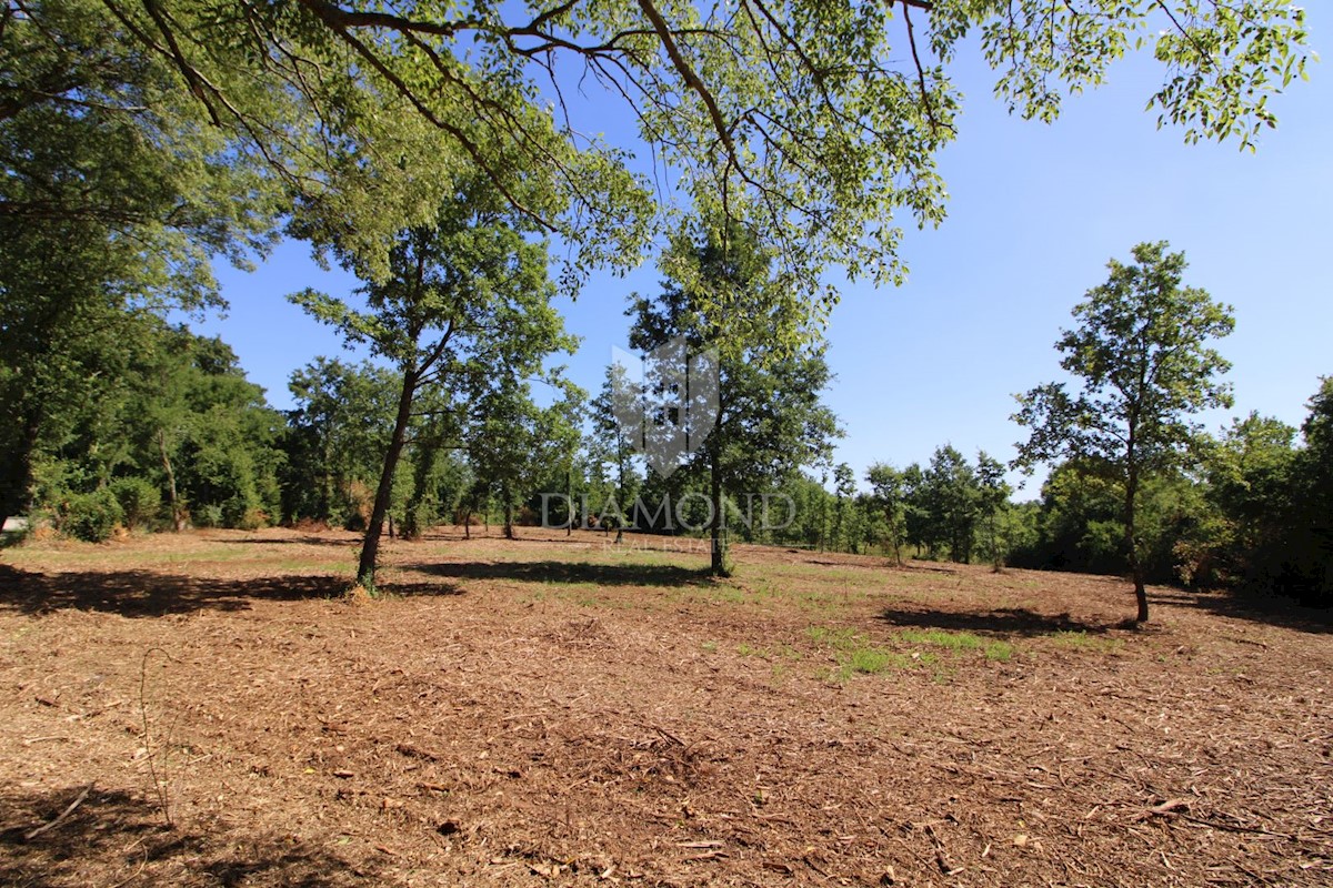 Barbana, dintorni, terreno edificabile in bella posizione