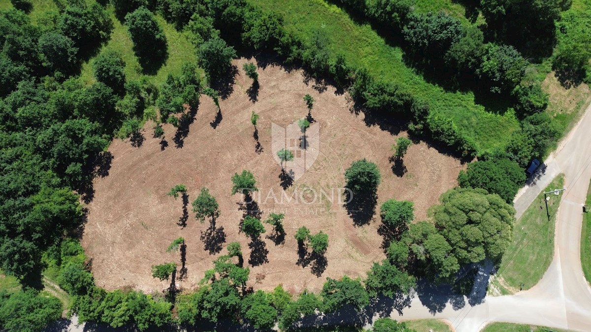 Barbana, dintorni, terreno edificabile in bella posizione