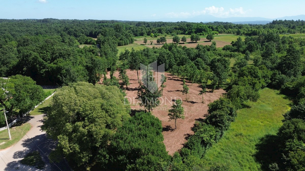 Barbana, dintorni, terreno edificabile in bella posizione