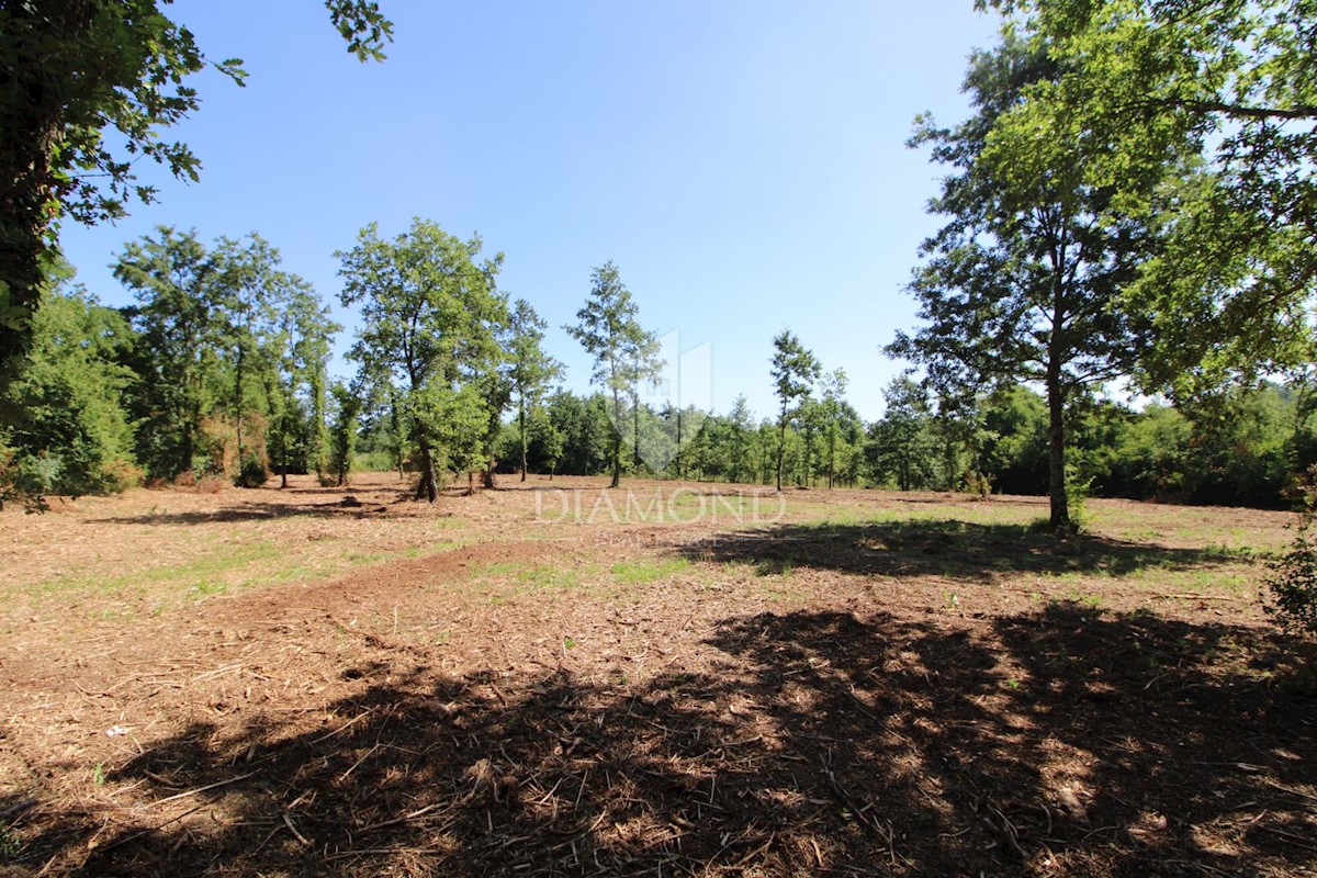 Barbana, dintorni, terreno edificabile in bella posizione