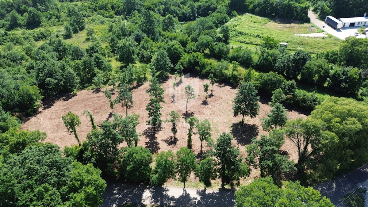 Barbana, dintorni, terreno edificabile in bella posizione