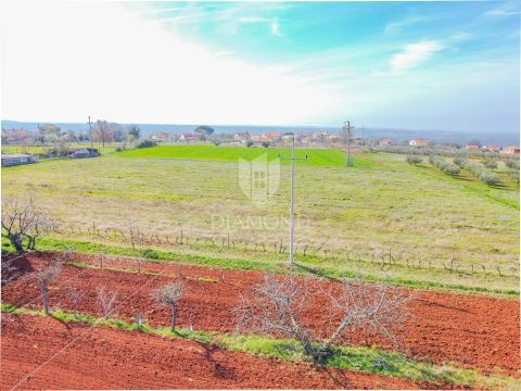 Parenzo, dintorni, 2 terreni edificabili con vista panoramica sul mare!