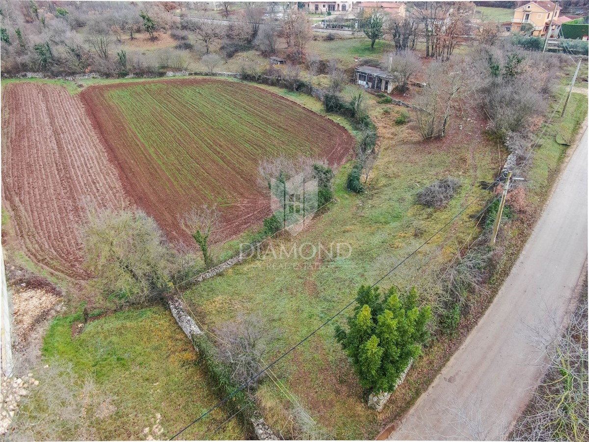 Svetvinčenat, dintorni, terreno ai margini del villaggio