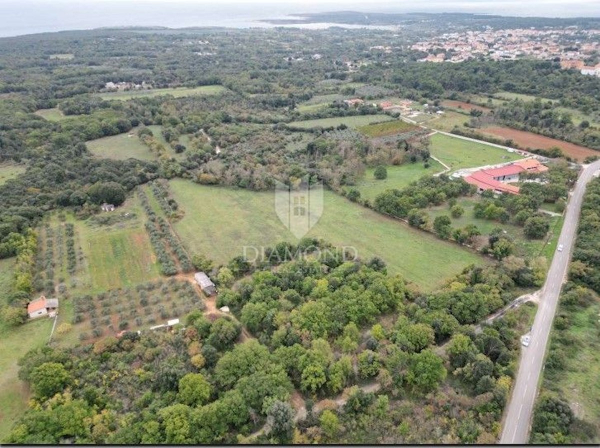 Liznjan, ampio terreno edificabile nella zona turistica 