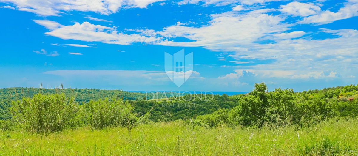 Momiano, dintorni! Una bellissima villa con vista sul mare aperto!