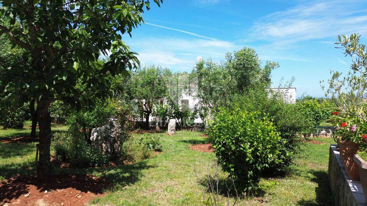 Marcha, graziosa casa bifamiliare vicino al mare