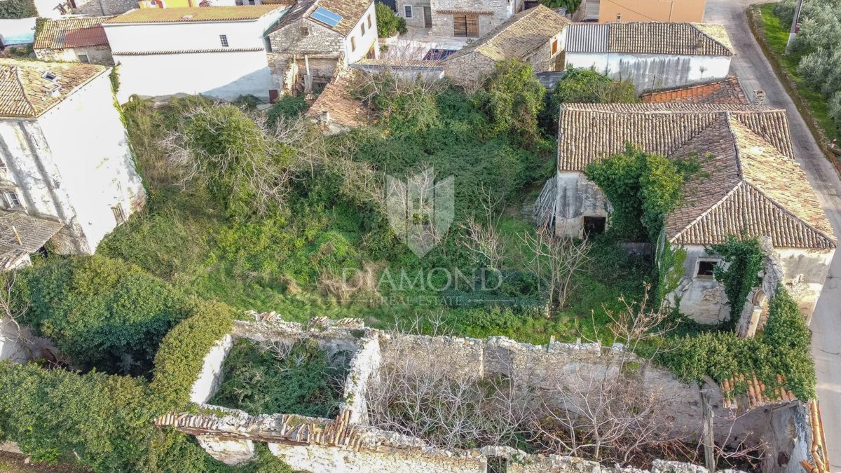 Šišan, Antico per adattamento alla storia medievale