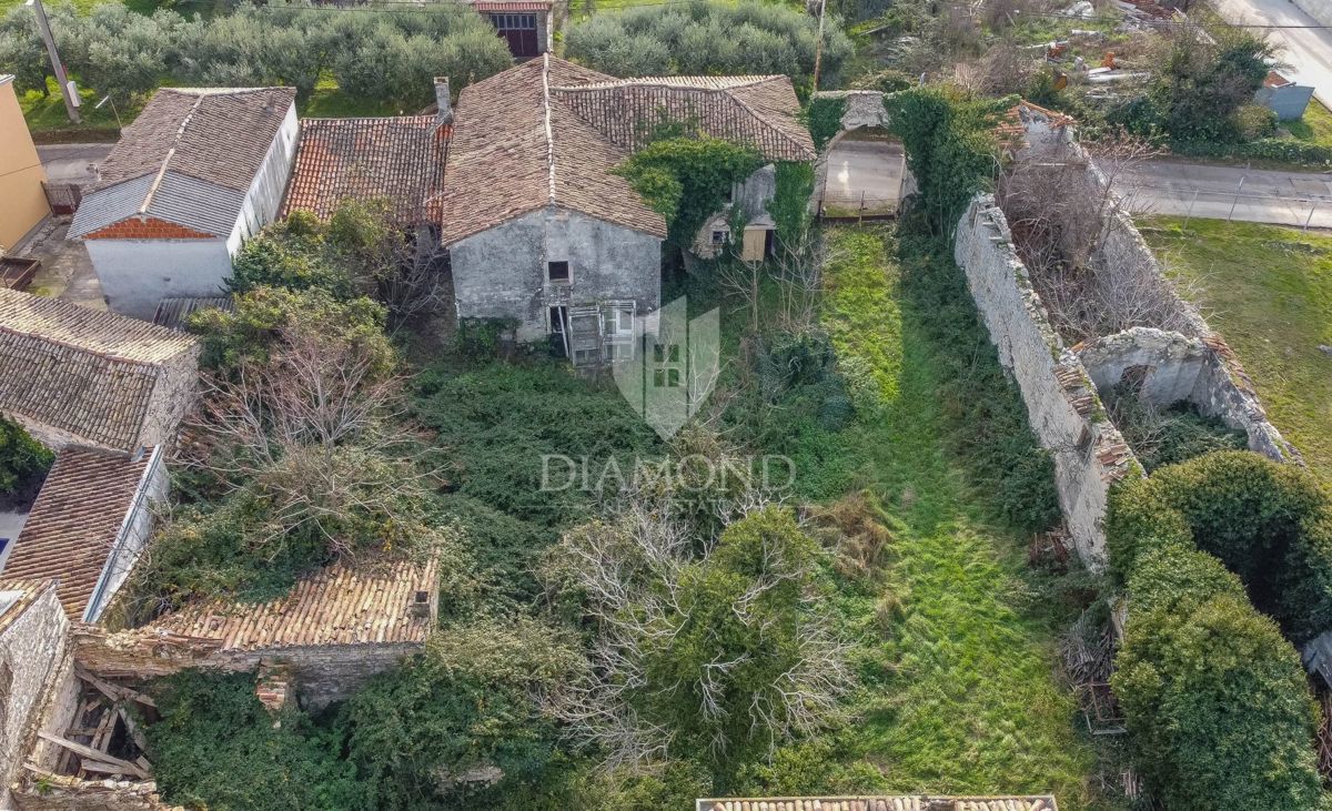 Šišan, Antico per adattamento alla storia medievale