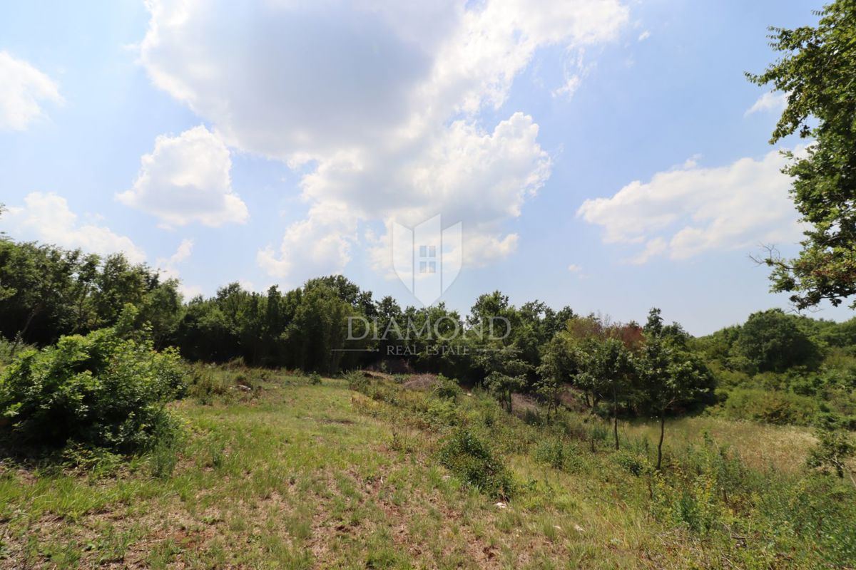 Un bel terreno in un tranquillo villaggio vicino a Svetvinčenat