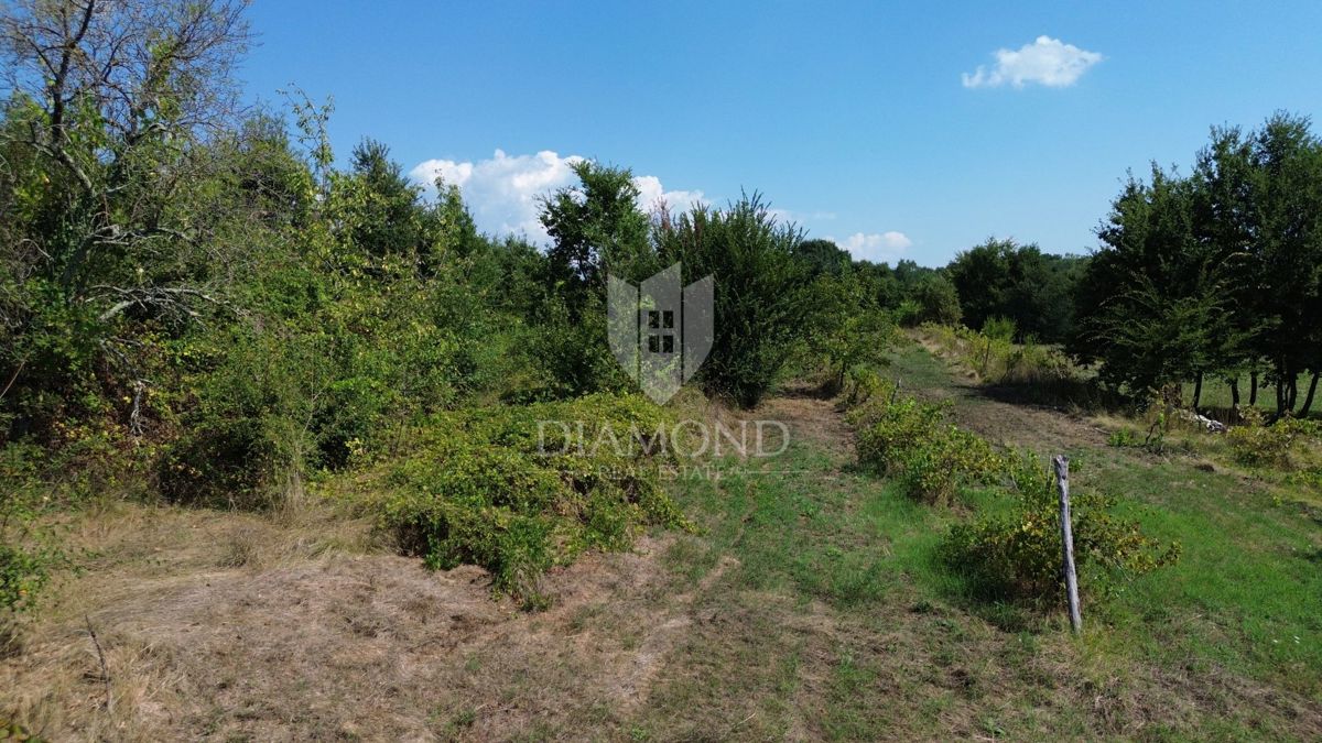 Albona, terreno edificabile attraente 