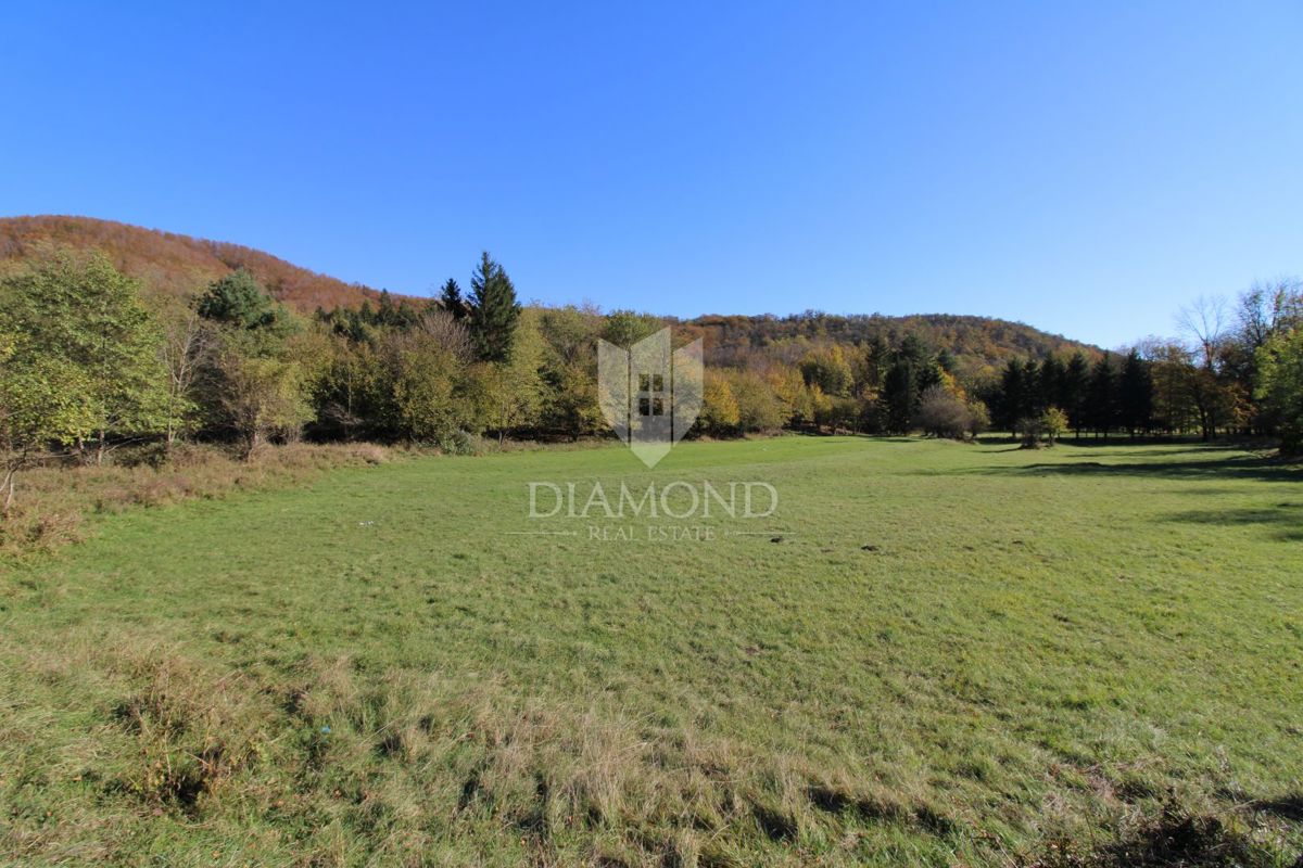 Klana - Grande Terreno con Tanto Potenziale