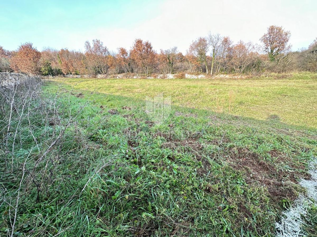 Istria, ampio terreno edificabile a 3 km dal mare