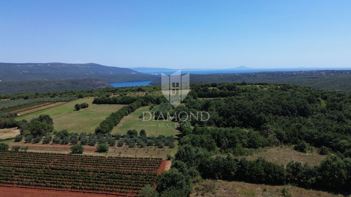 Barban, ampio terreno edificabile con vista sul mare 