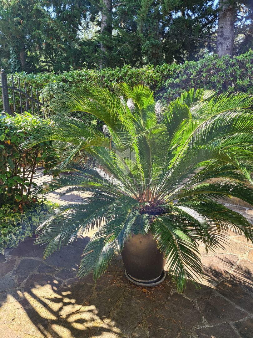 Poreč, dintorni – Bellissima casa bifamiliare con piscina