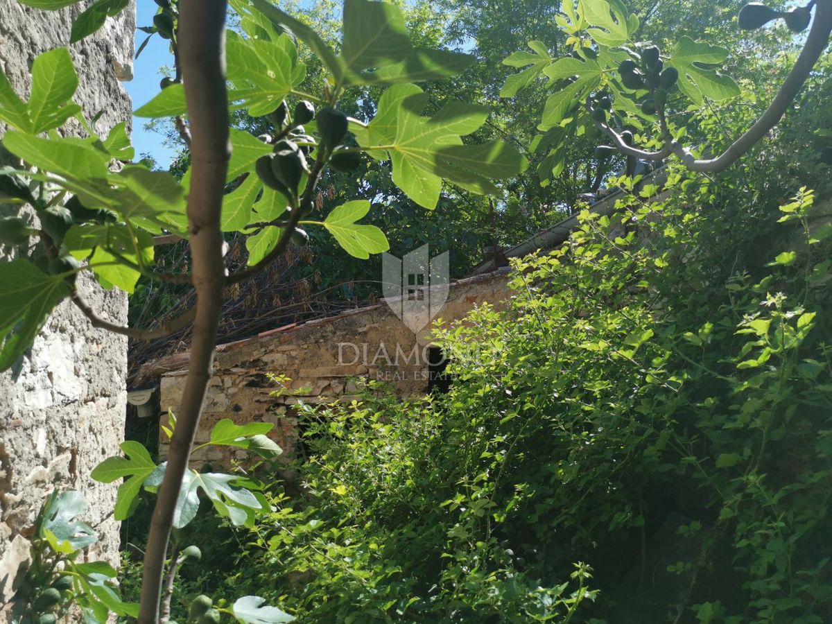 Vodnjan, centro, casa da ristrutturare con cortile