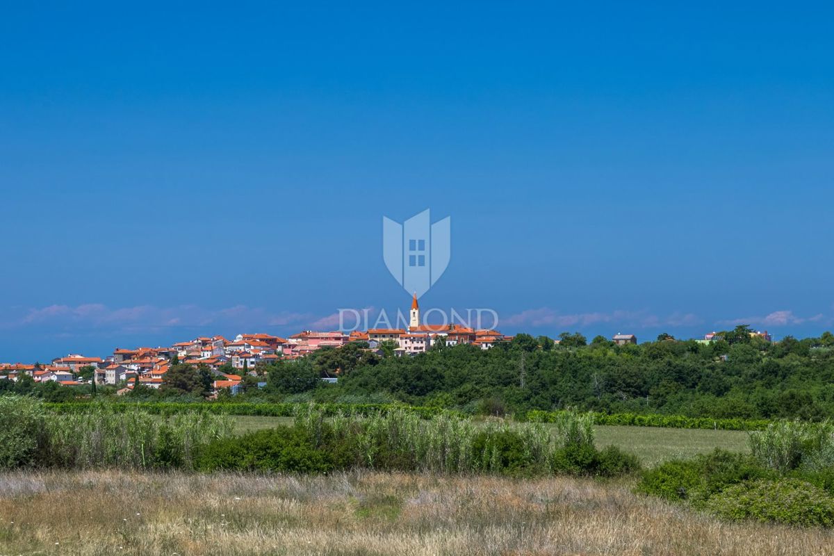 Verteneglio, bellissima villa con piscina in cima a una collina