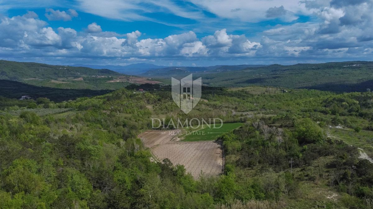 Istria, Buie, dintorni - opportunità di investimento!