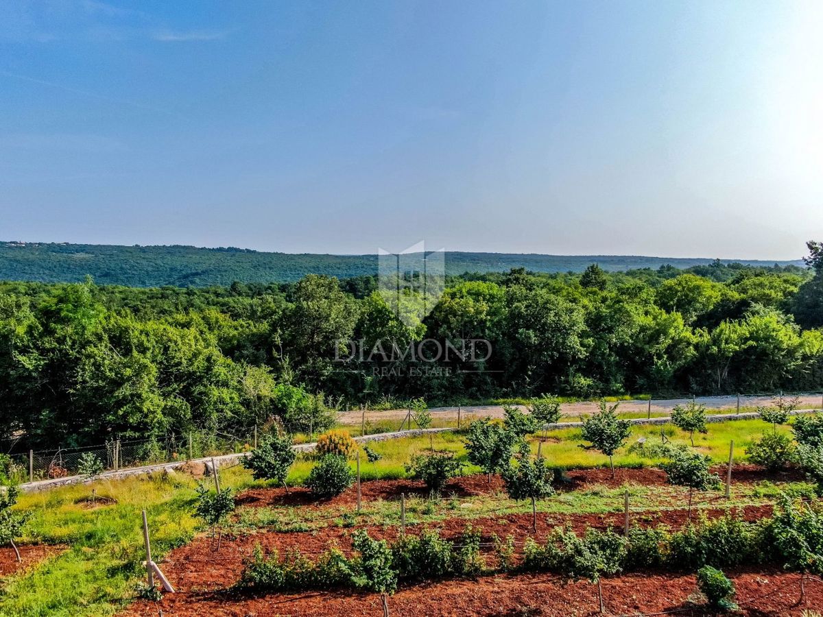 Rovigno, dintorni, nuova casa con piscina e vista sulla natura
