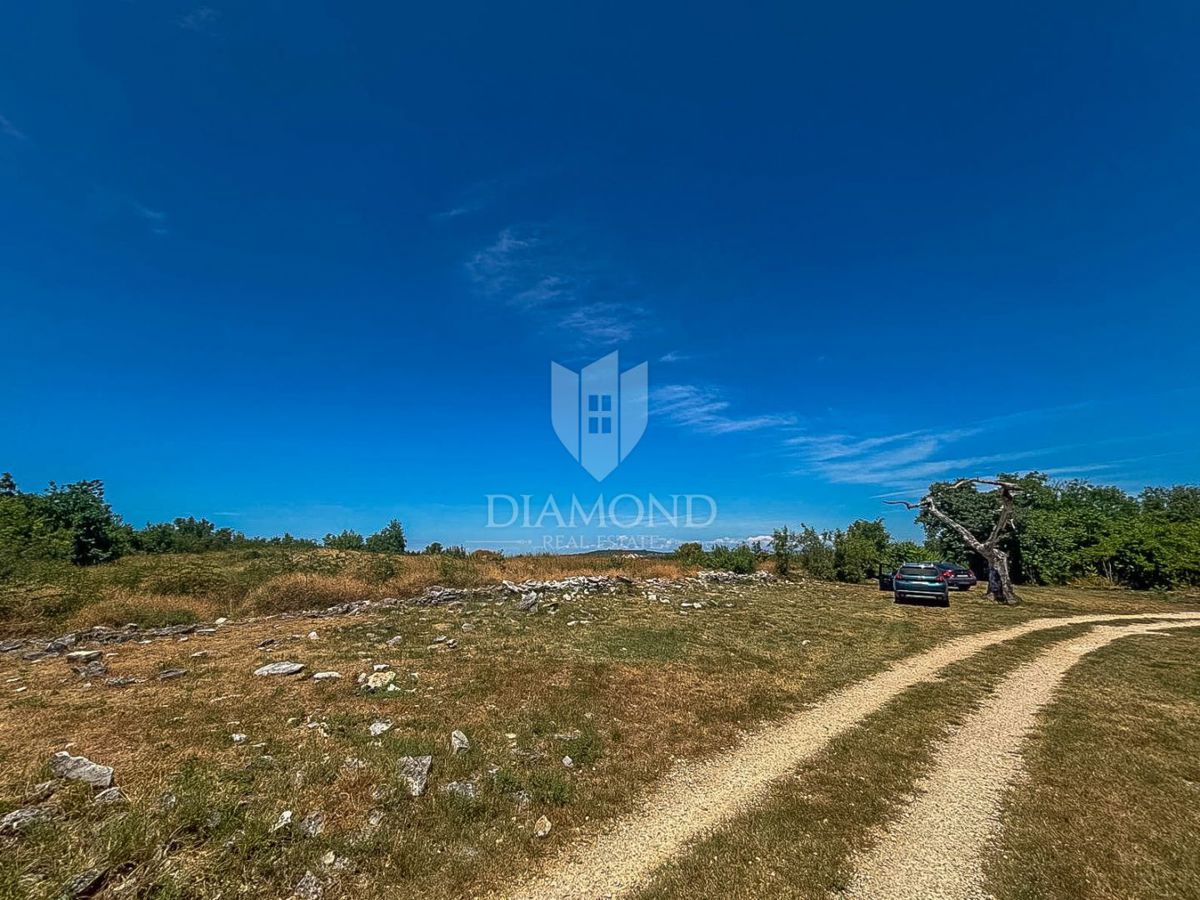 Istria, Buie, dintorni, casa con piscina e giardino!