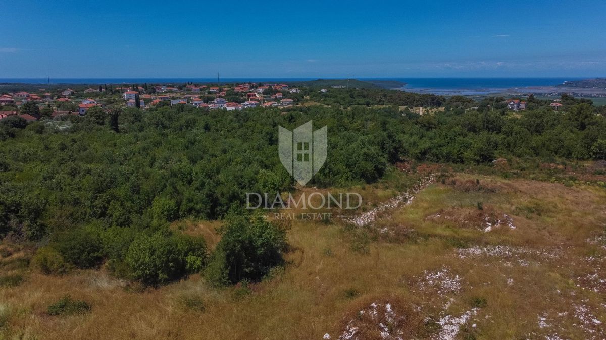 Istria, Buie, dintorni, casa con piscina e giardino!