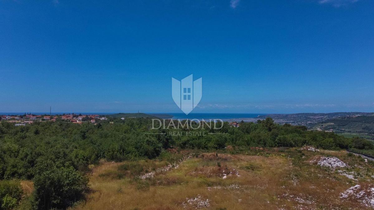 Istria, Buie, dintorni, casa con piscina e giardino!