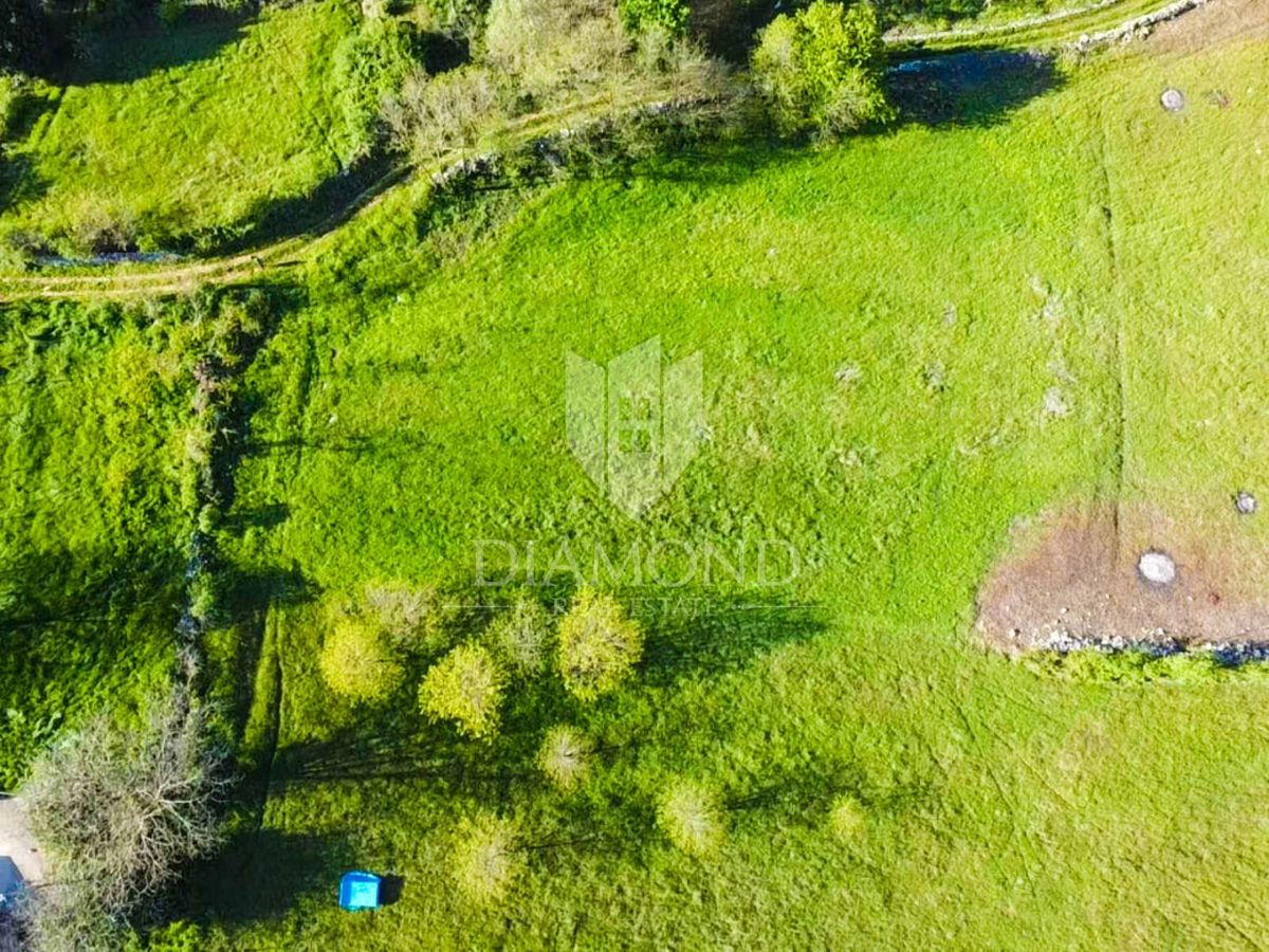 Poreč, dintorni, terreno ai margini con permesso di costruzione