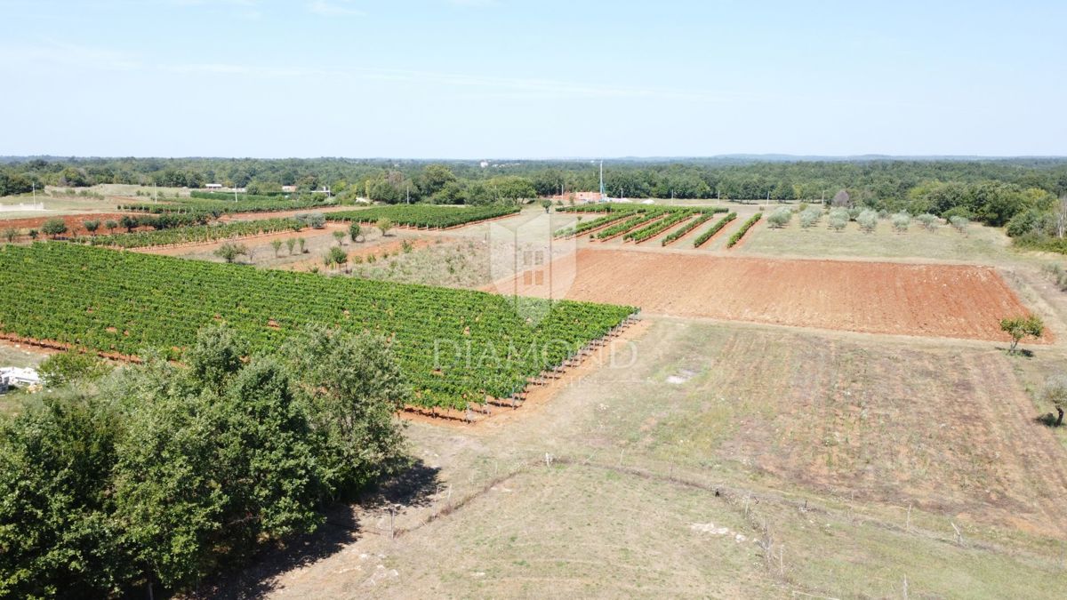 Zona di Parenzo, terreno edificabile ai margini della zona