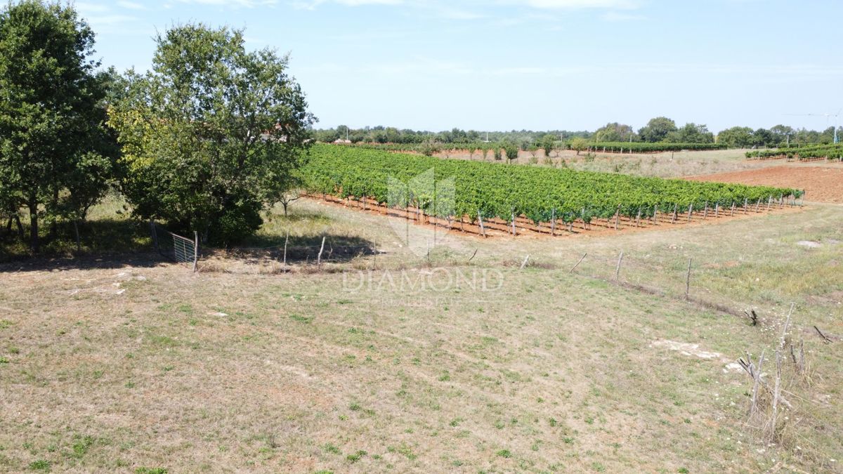 Zona di Parenzo, terreno edificabile ai margini della zona
