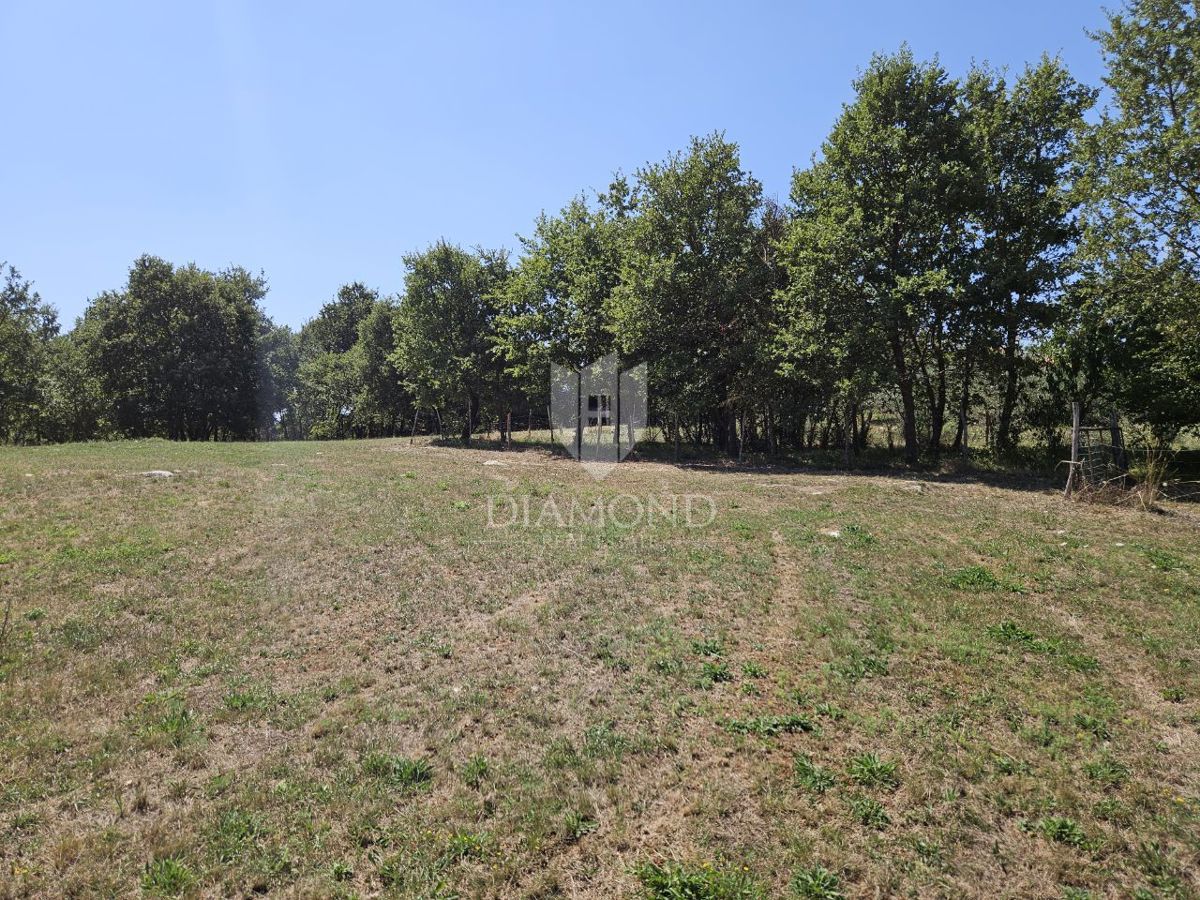 Zona di Parenzo, terreno edificabile ai margini della zona