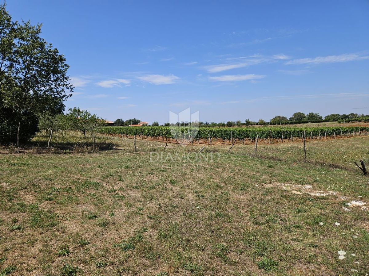 Zona di Parenzo, terreno edificabile ai margini della zona