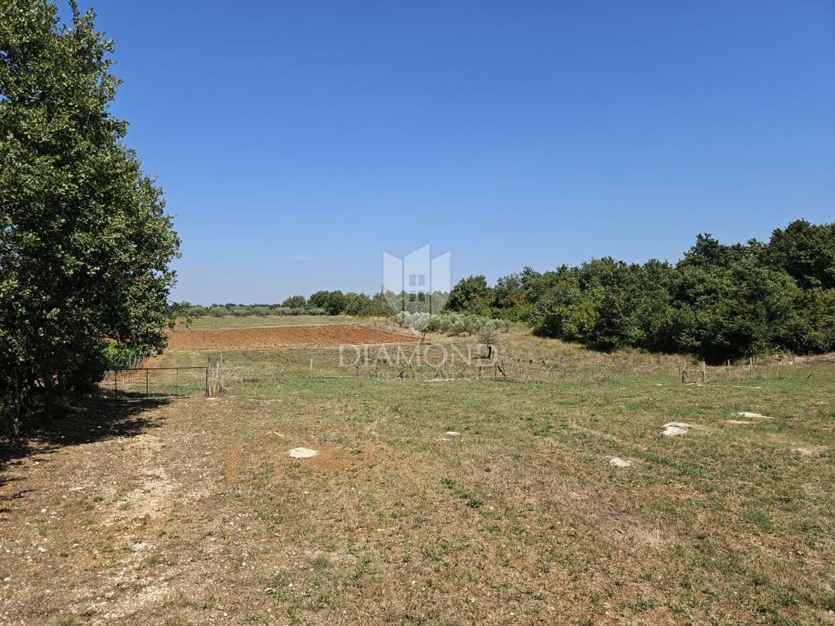 Zona di Parenzo, terreno edificabile ai margini della zona