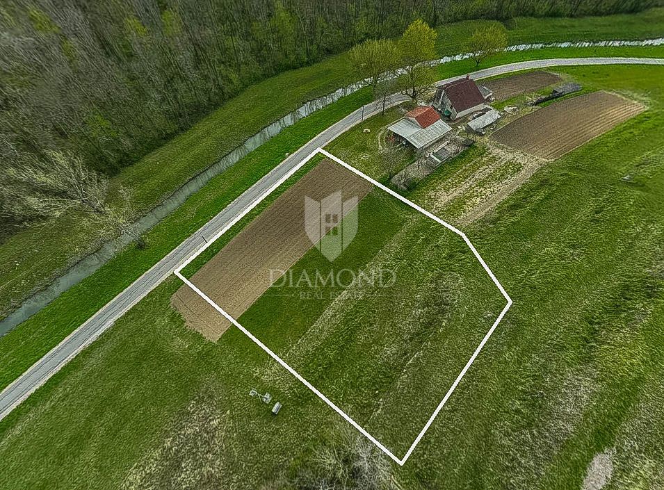 OCCASIONE! Grisignana, bellissimo terreno di 2.277 m2 vicino a un ruscello