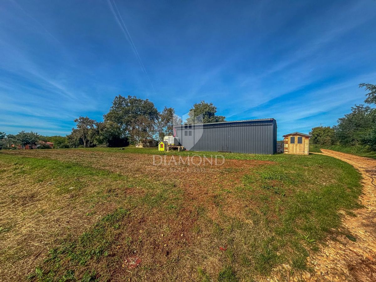 Cittanova, dintorni, bellissimo terreno edificabile!