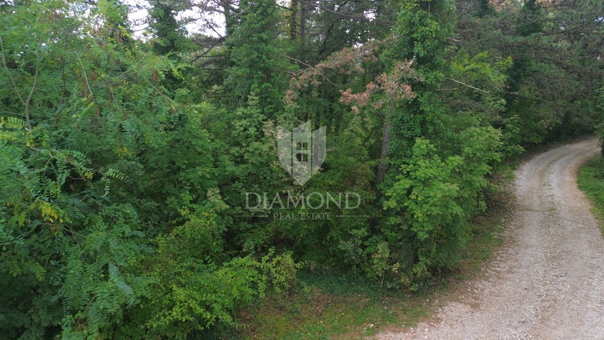 Terreno Labin, 2.323m2