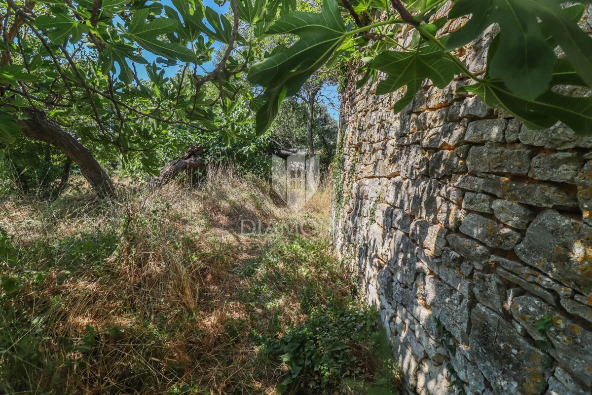 Tenuta istriana con diverse case in pietra e grande potenziale di investimento – zona di Dignano