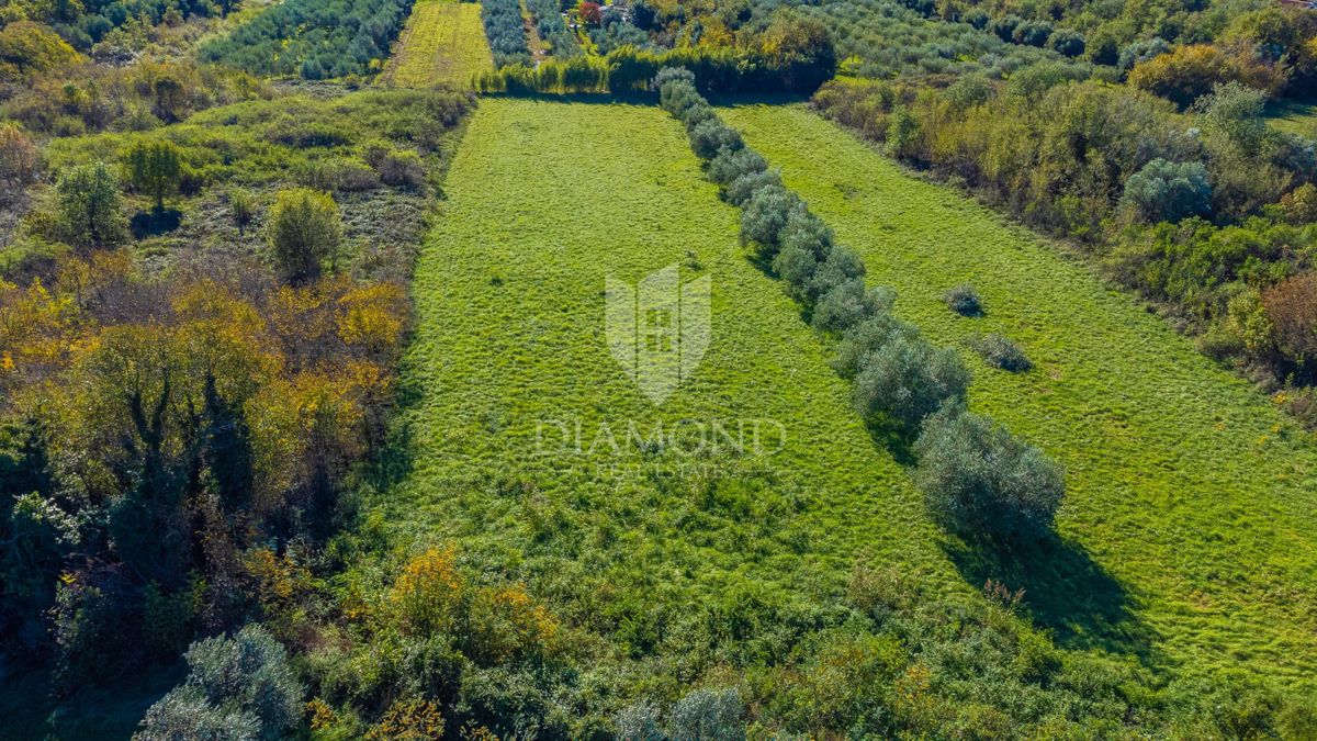 Umag, terreno di 506 m² in ottima posizione!