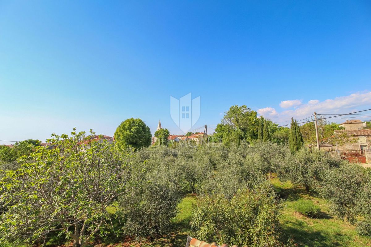 Galižana, casa con due appartamenti e uliveto