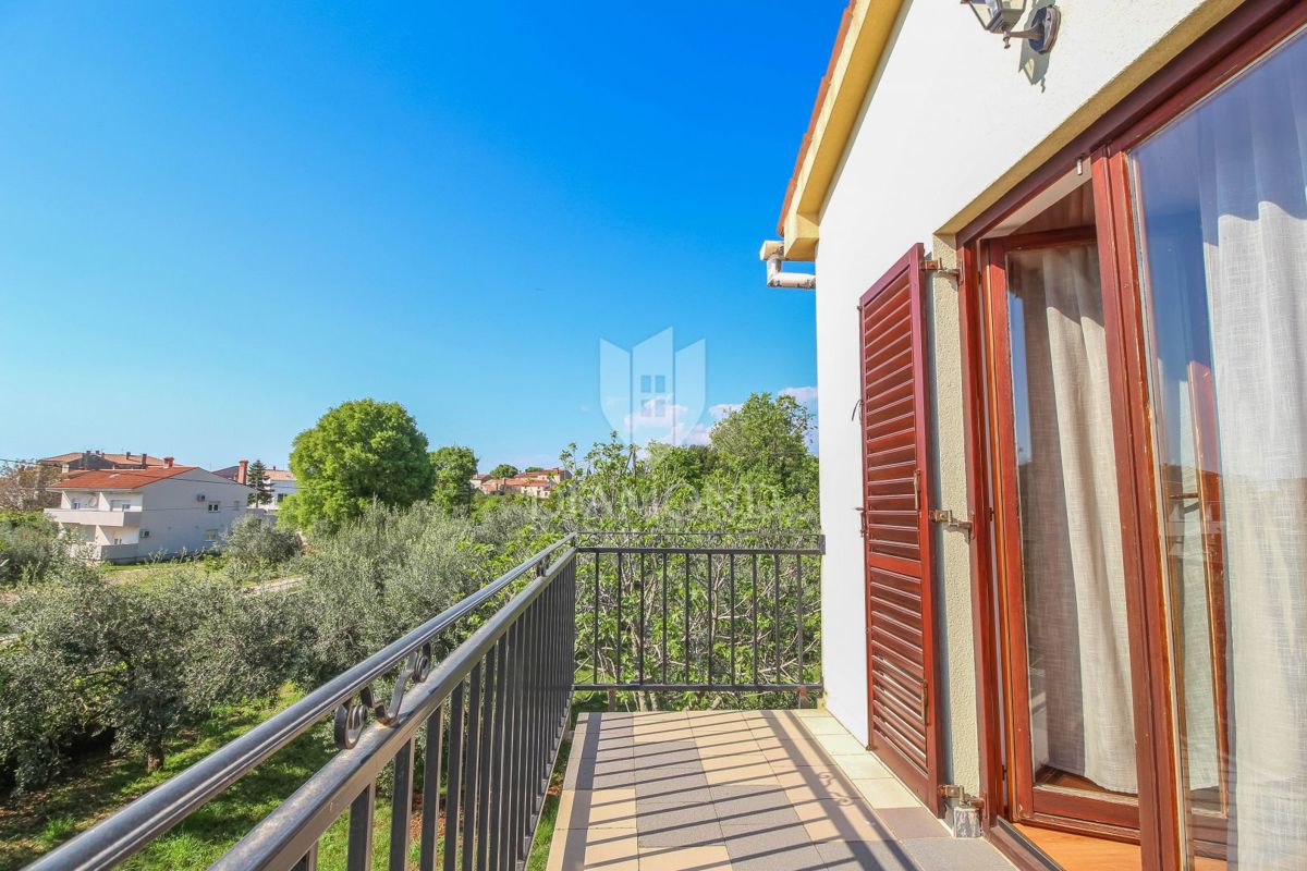 Galižana, casa con due appartamenti e uliveto