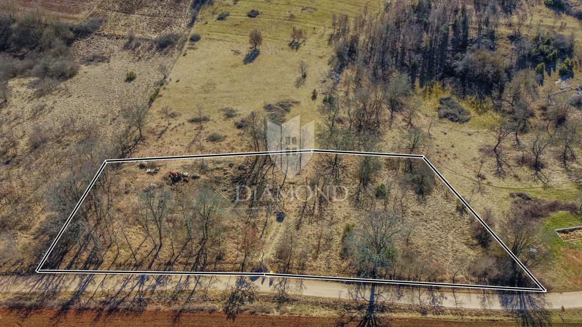 Terreno edificabile in una posizione tranquilla vicino a Grisignana