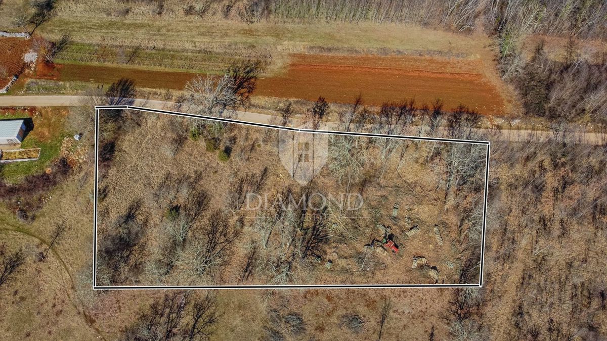 Terreno edificabile in una posizione tranquilla vicino a Grisignana