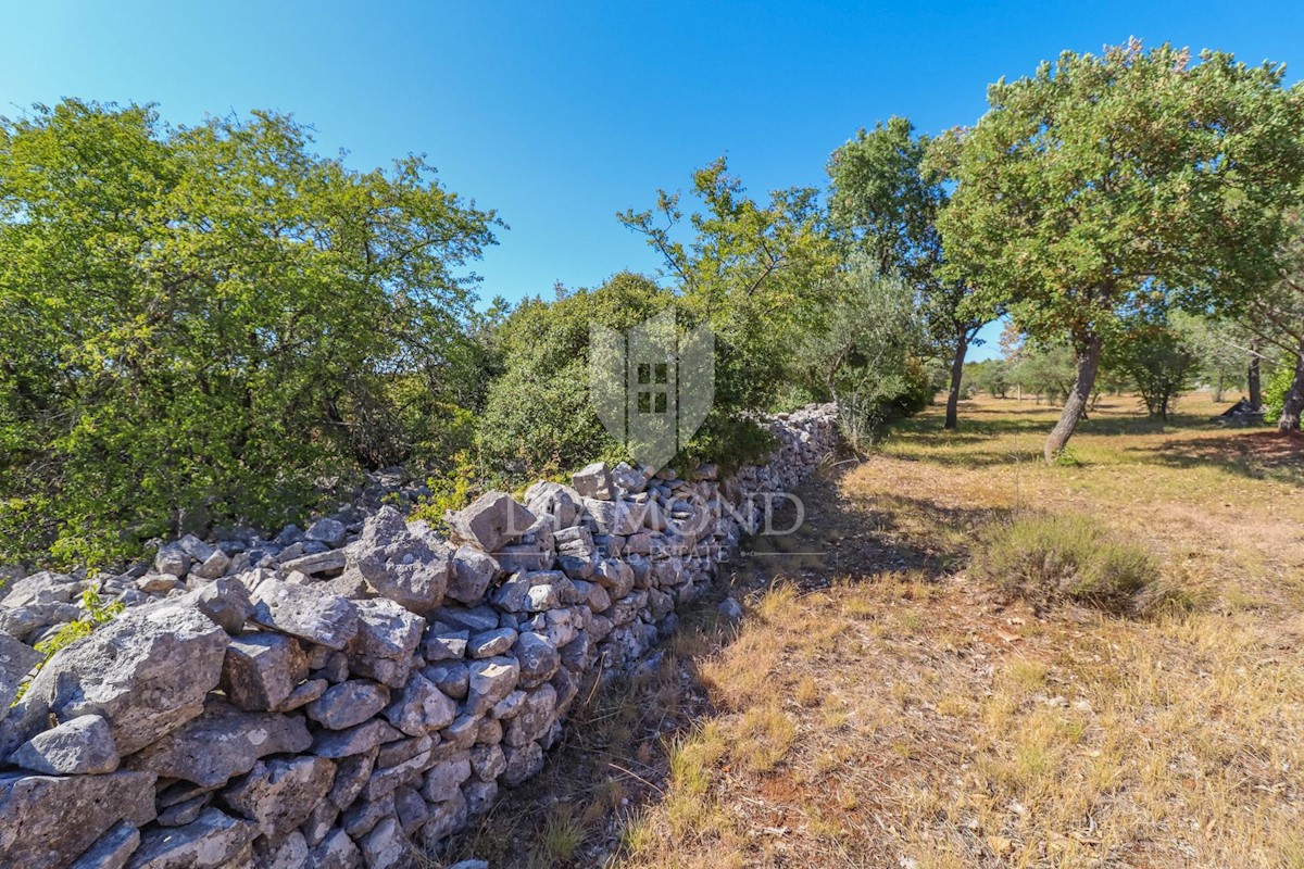 Rovigno, dintorni, proprietà con potenziale